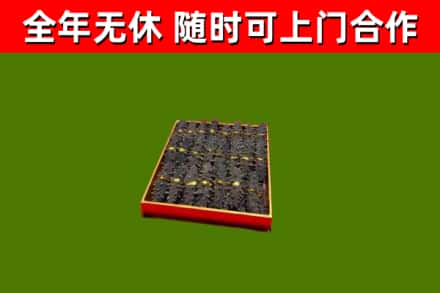 萨迦回收海参